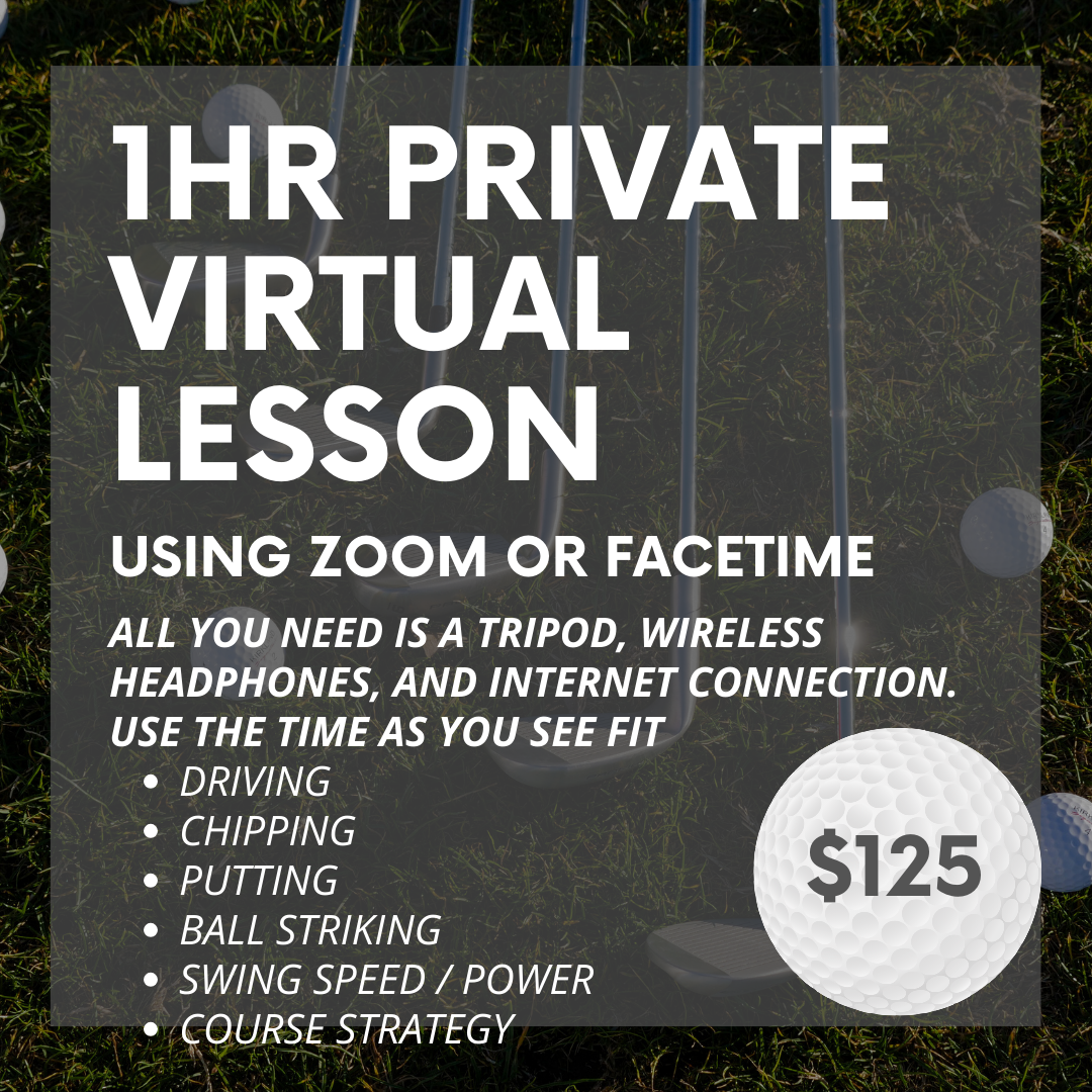 Michael Dart Golf 1 Hour Virtual Lesson - Golf Coaching - Golf Lessons - Winter Garden/Orlando