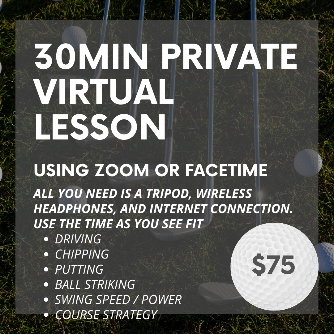 Michael Dart Golf 30 Min Virtual Lesson - Golf Coaching - Golf Lessons - Winter Garden/Orlando